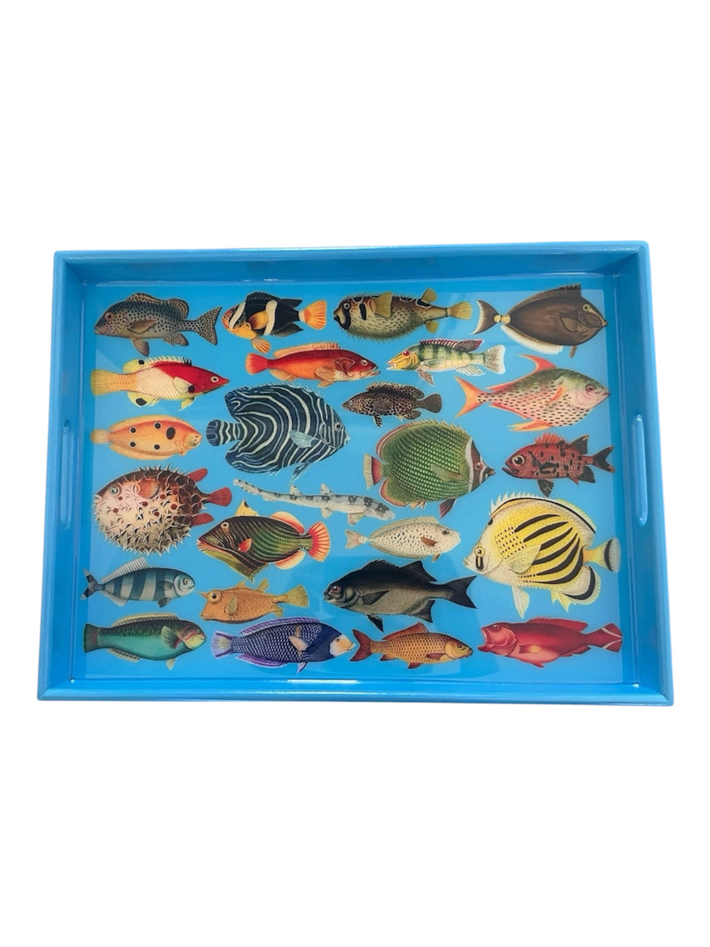 Tropical Fish Decorative Tray | Handmade Marine Table Decor