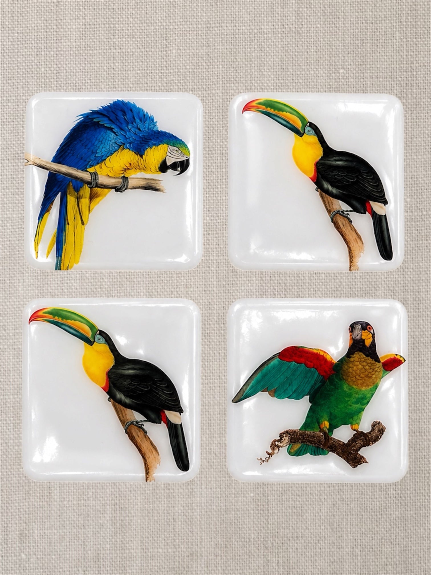 Tropical Birds Luxury Coasters  Handcrafted Resin on Wood