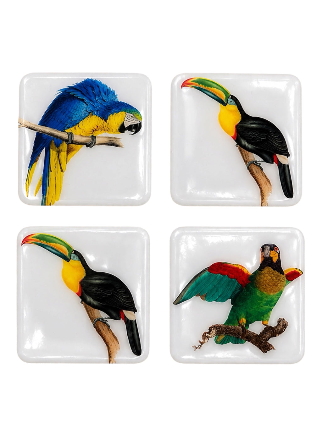 Tropical Birds Luxury Coasters  Handcrafted Resin on Wood