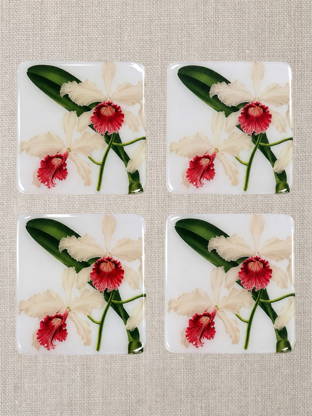 White Orchid Coasters | Handmade Floral Table Decor