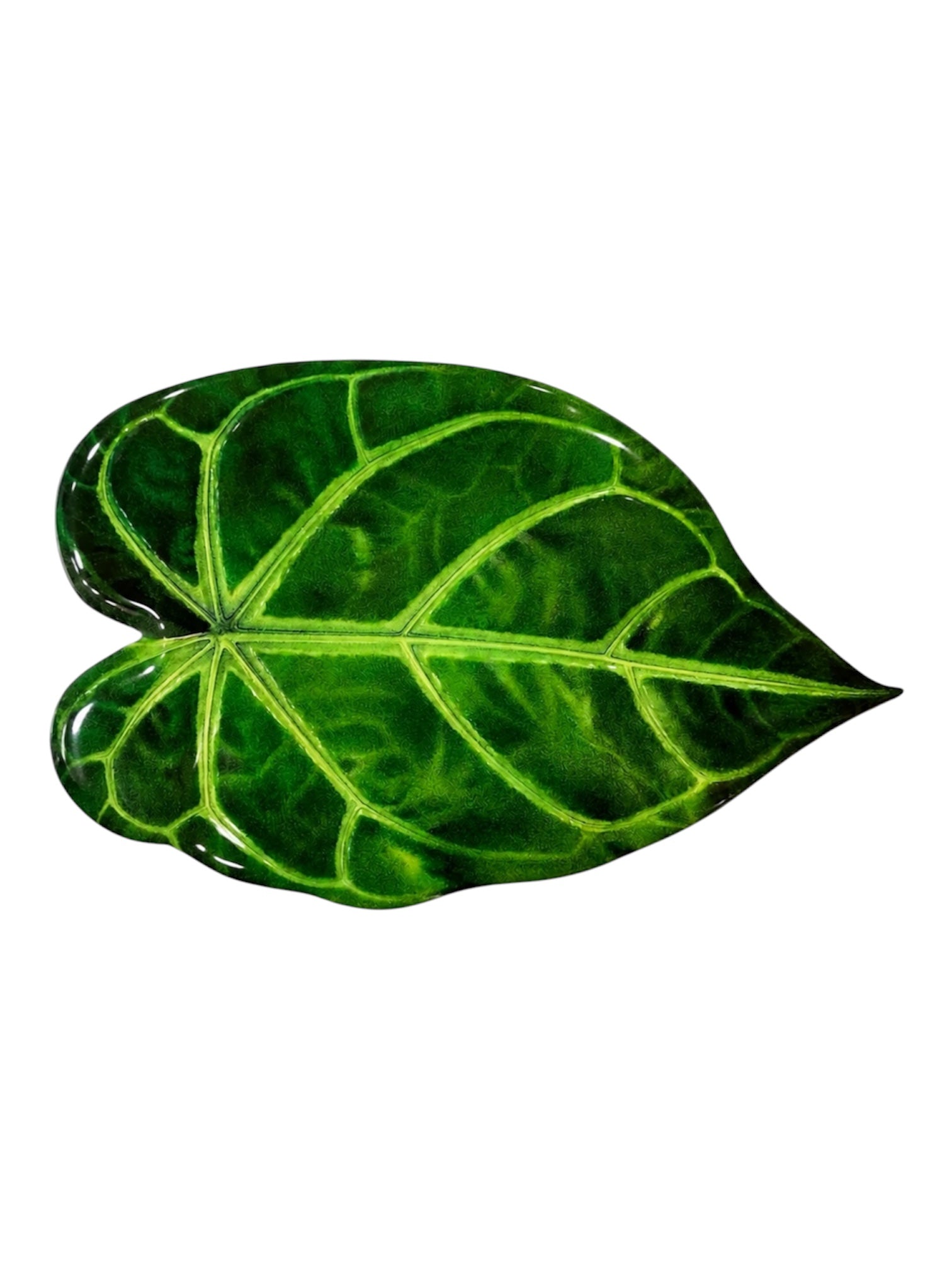 Green Anthurium Leaf Luxury Centerpiece – Handcrafted Resin-on-Wood