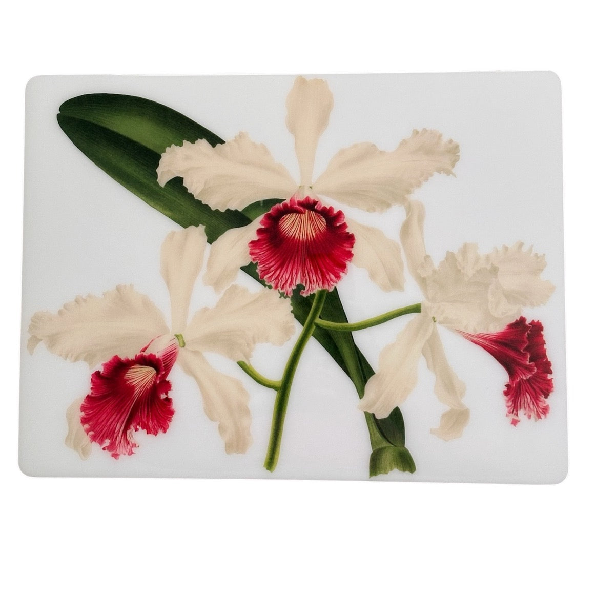 White Orchid Rectangular Placemats | Handmade Resin Table Decor