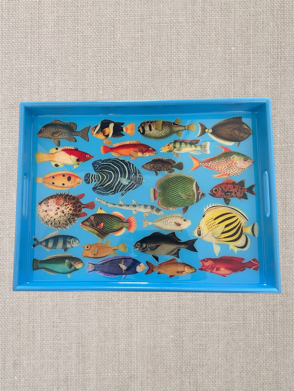 Tropical Marine Decorative Tray