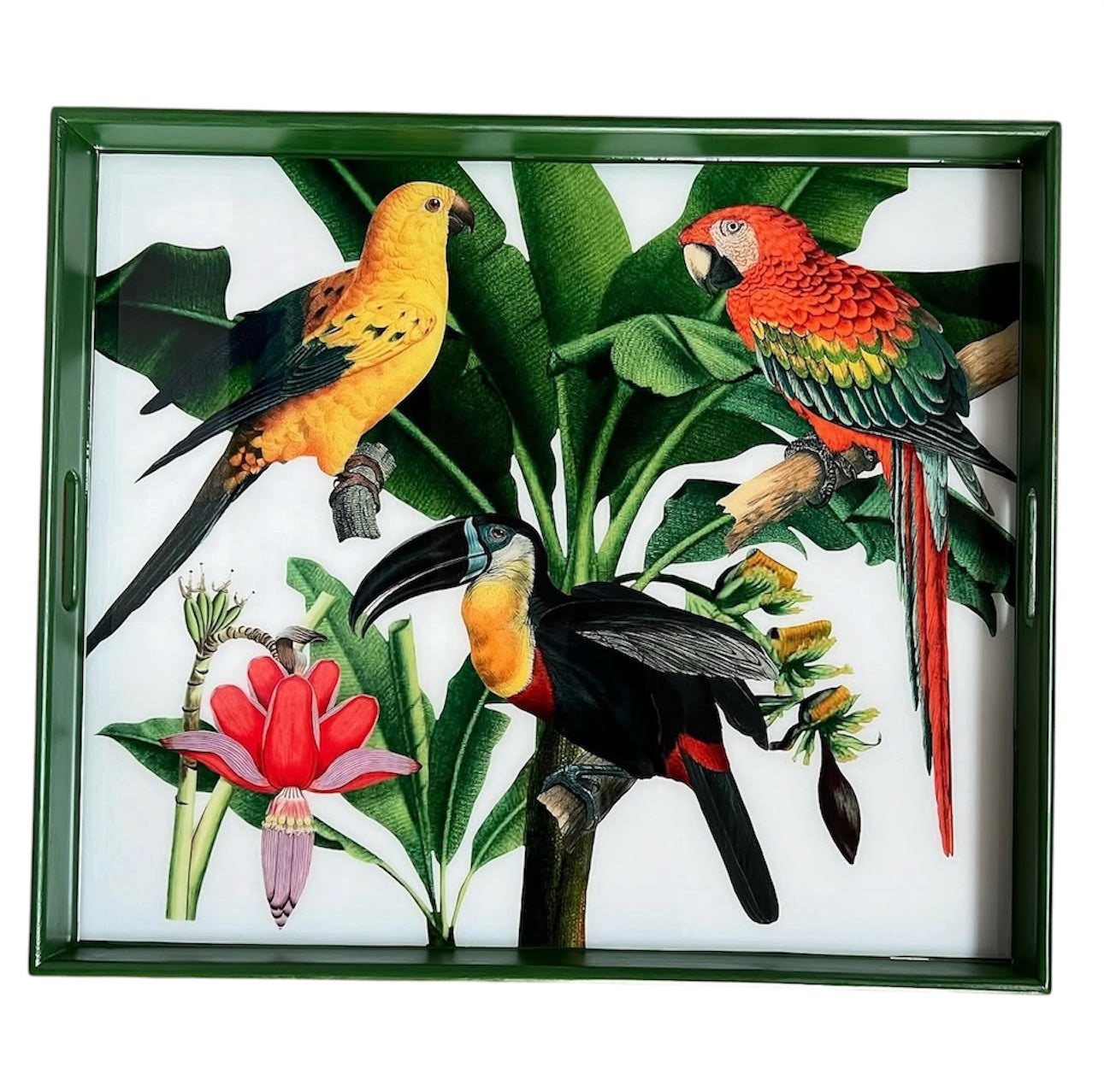 Botanical Paradise Collection