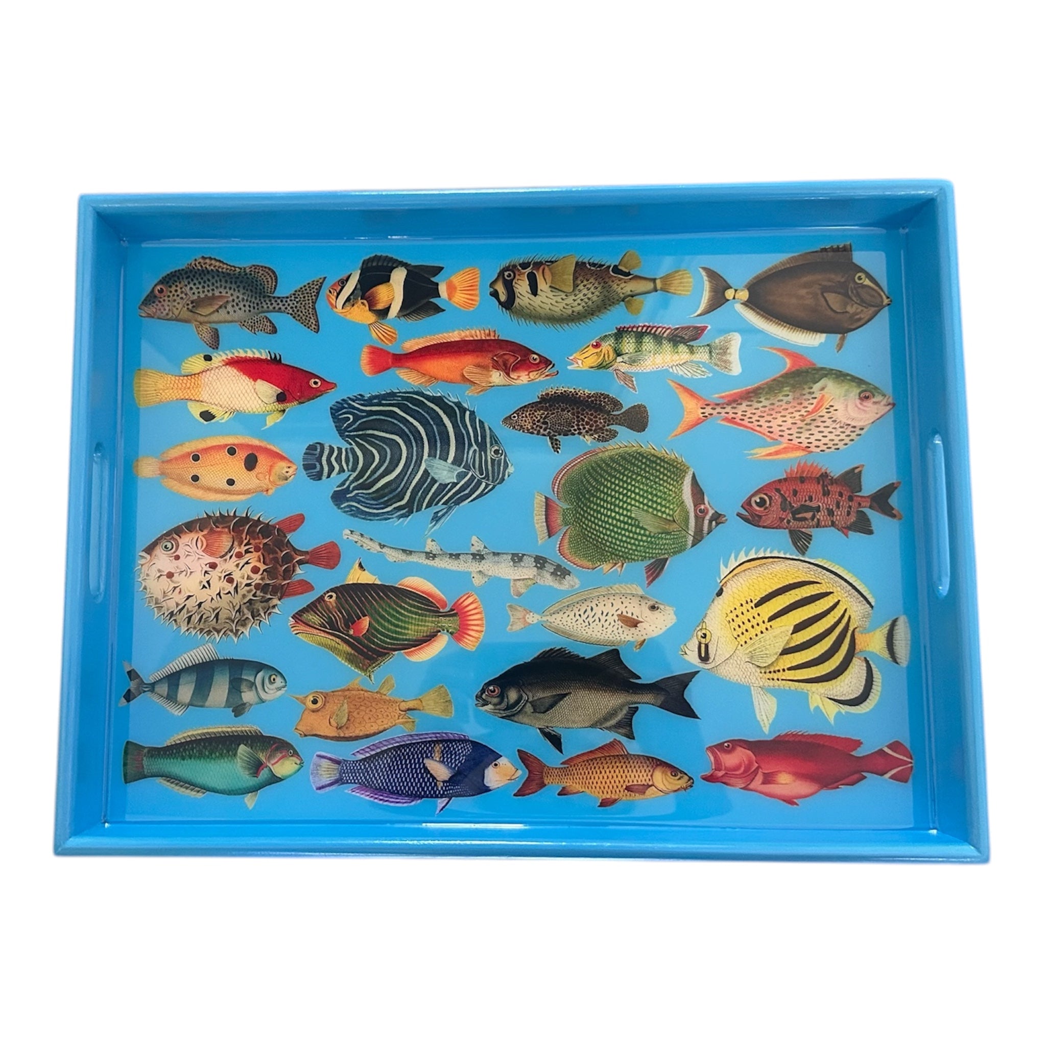 Tropical Marine Decorative Tray