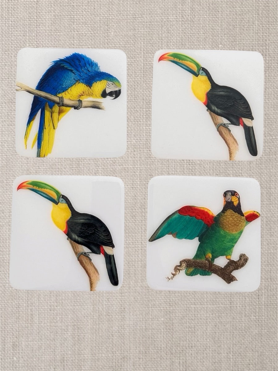 Tropical Birds Luxury Coasters – Handcrafted Resin-on-Wood