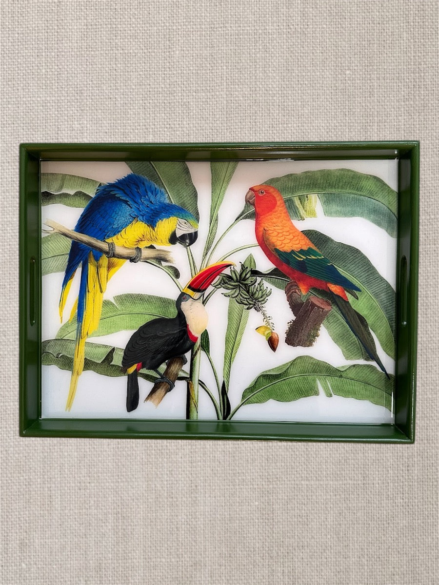 Amazonia Handcrafted Resin and Wood Tropical Decorative Serving Tray
