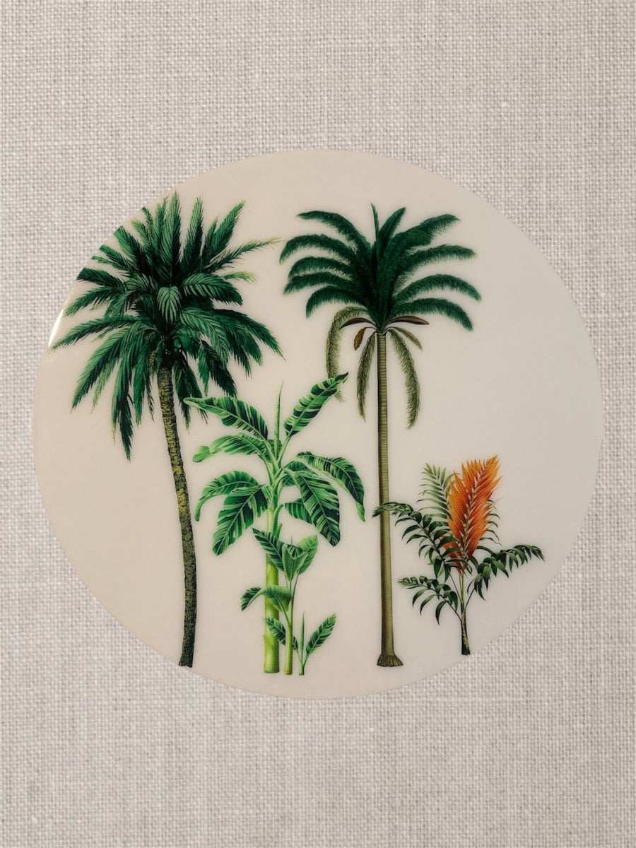Manteles individuales redondos botánicos de palmeras tropicales