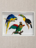 Tropical Bird Serving Tray Handcrafted Resin on Wood