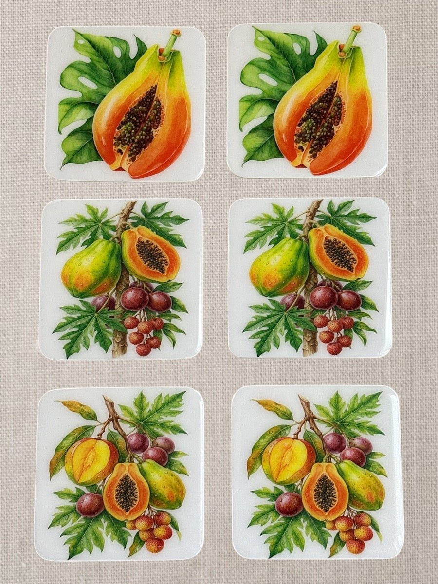 Tropical Papaya & Exotic Fruits Luxury Coasters – Handcrafted Resin-on-Wood