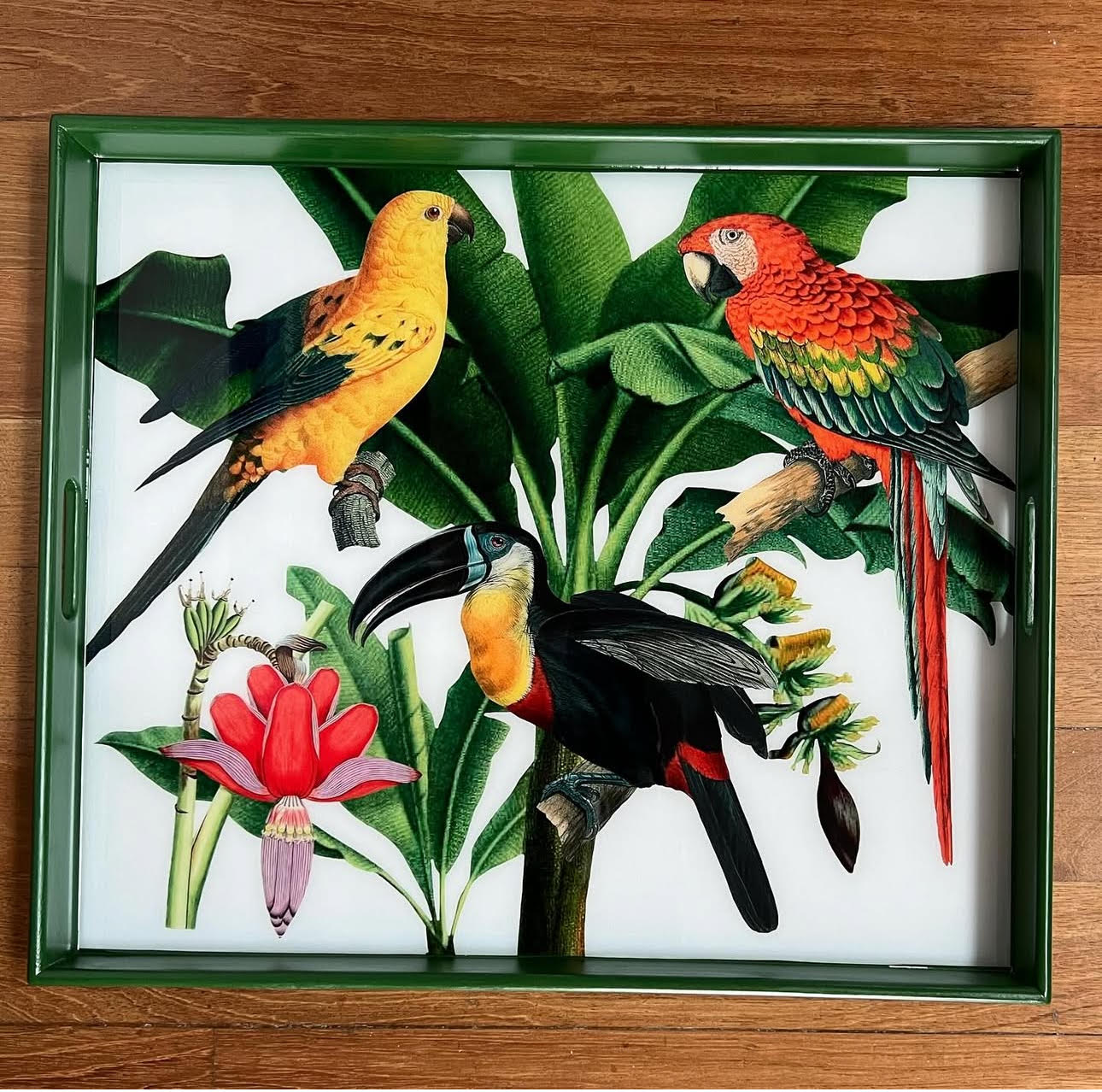 Botanical Paradise Collection