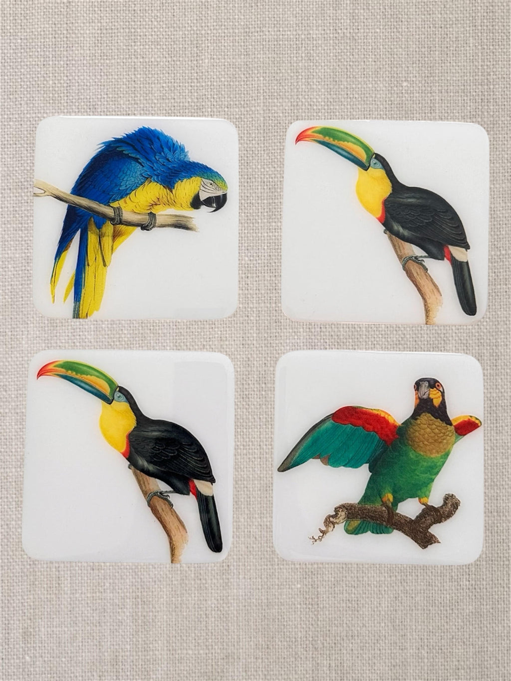 Handcrafted Coasters: Tropical Birds Collection