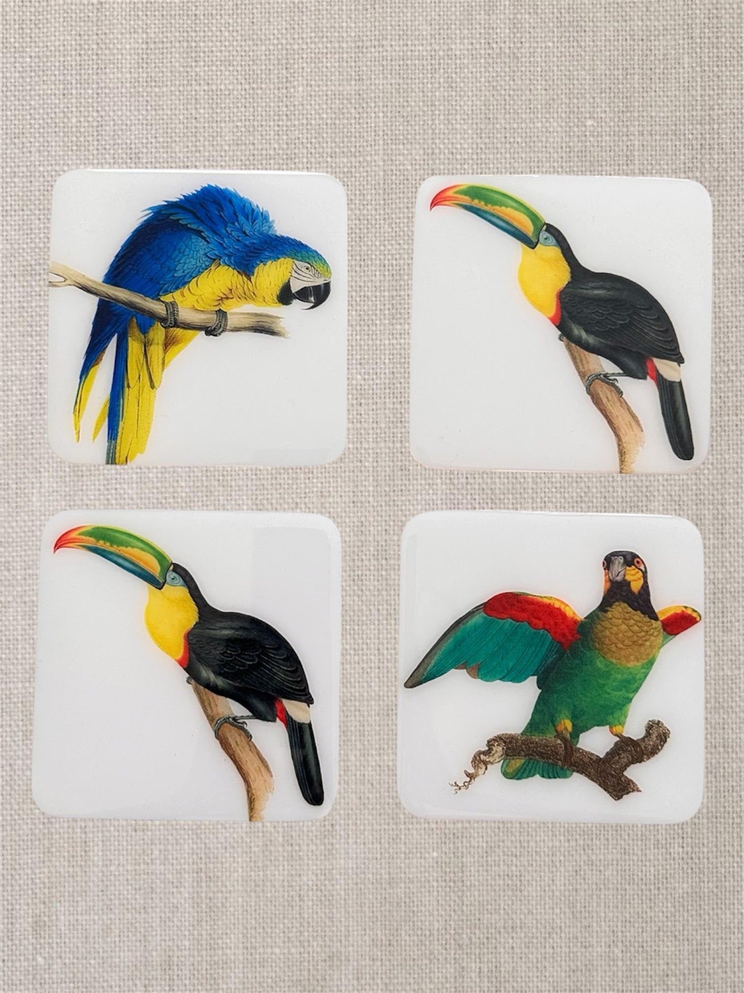 Handcrafted Coasters: Tropical Birds Collection